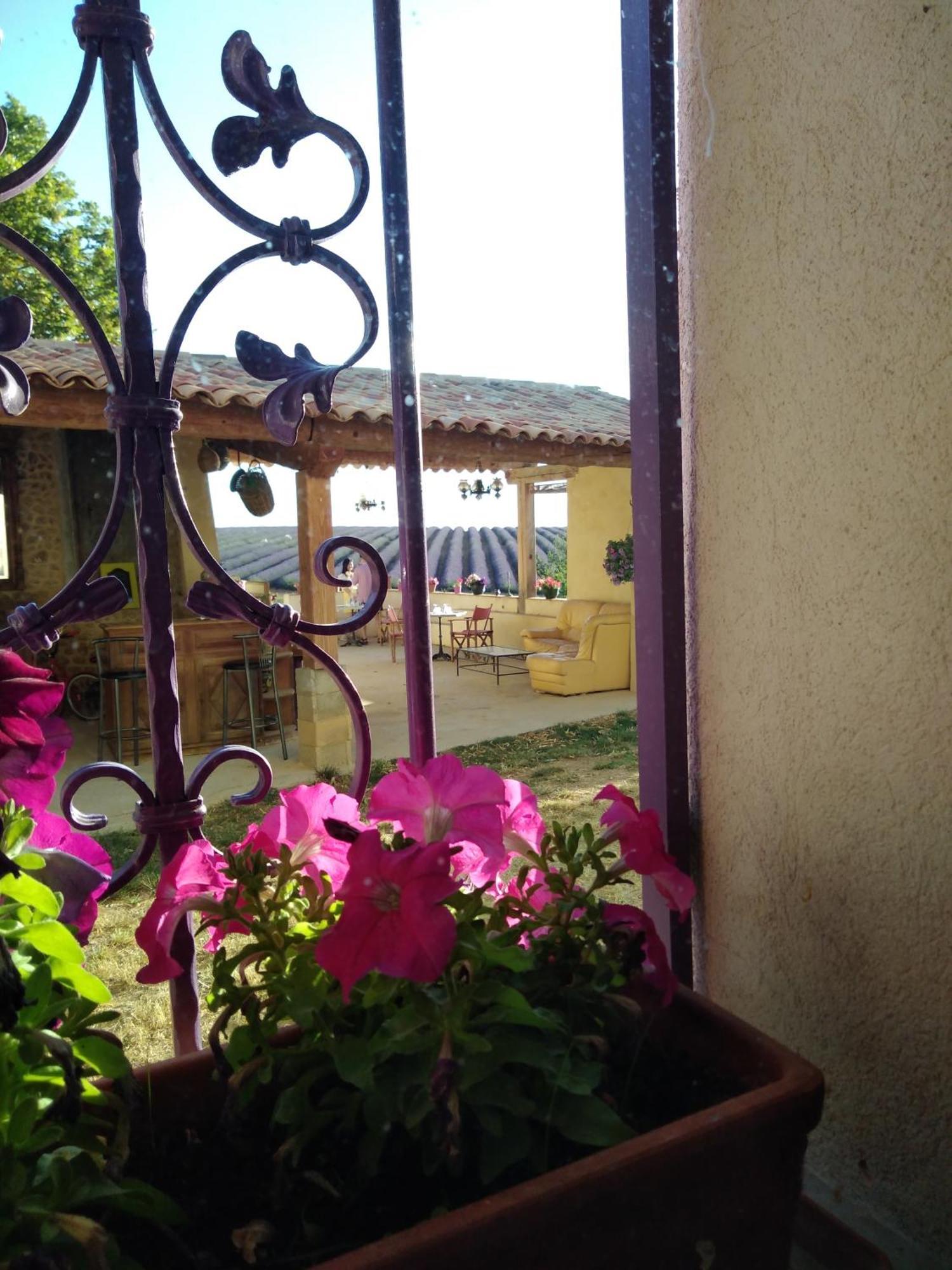 Chambre A La Ferme Au Milieu Des Lavandes Valensole Esterno foto